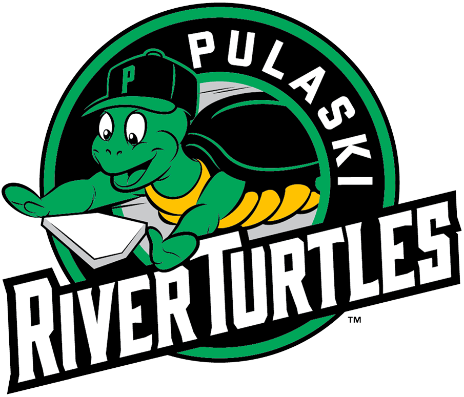 Pulaski River Turtles 2021-Pres Alternate Logo iron on heat transfer